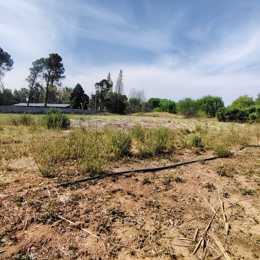 Commercial Property for Sale in Roodewal Free State